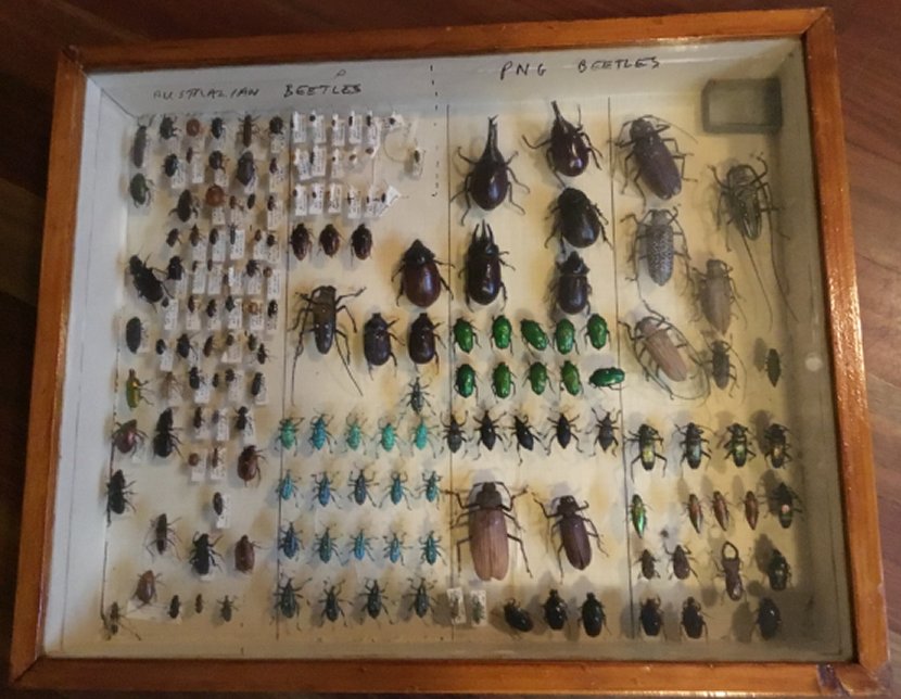 Dr Russell George Wilkinson Collection (Bio)