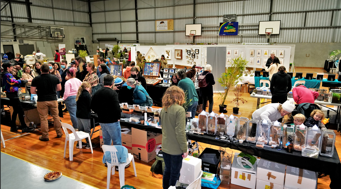 2023 NATIONAL ENTOMOLOGY INSECT EXPO DATES ANNOUNCED