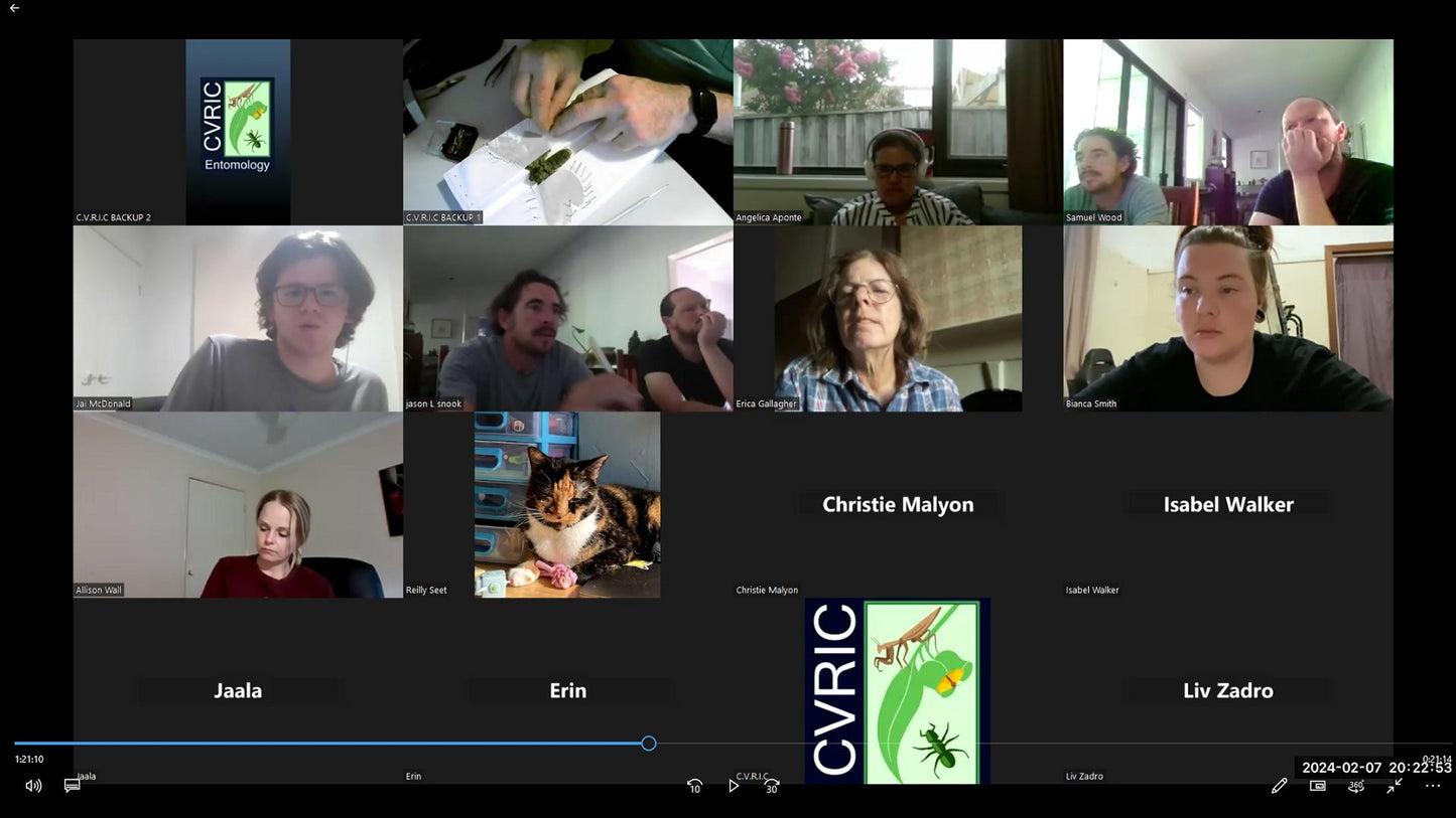 INTRODUCTION TO ENTOMOLOGY (Cert) 29th April 2026. Course Duration: 4 Weeks. (Enrollments Now Open)