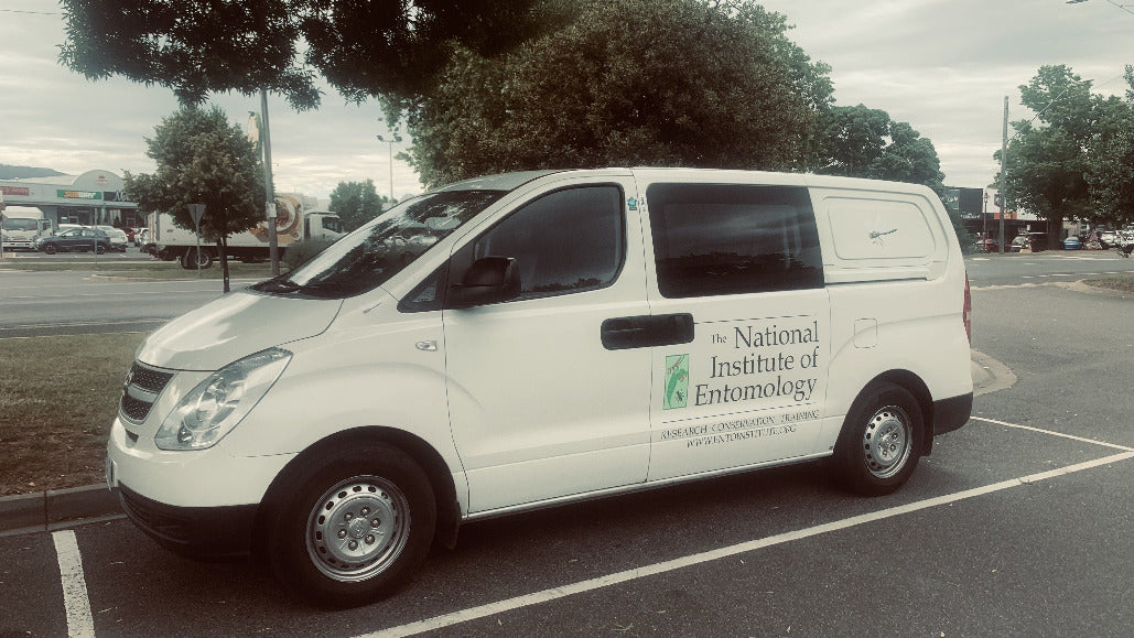 ENTOMOLOGICAL TRANSPORT