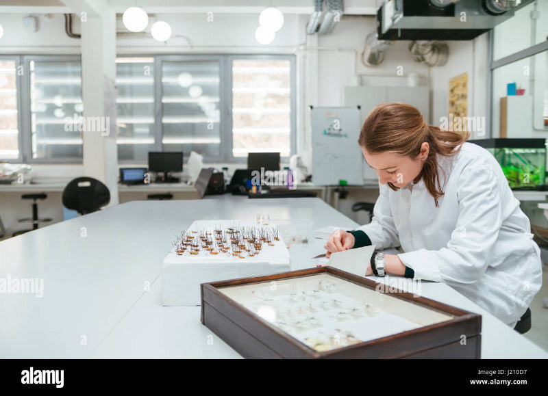 LABORATORY TECHNICIANS ENTOMOLOGY SYLLABUS (Cert) - Coming in 2026