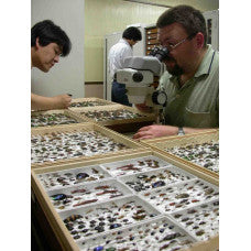 ENTOMOLOGICAL TECHNICIANS COURSE (Cert) - Coming in 2026