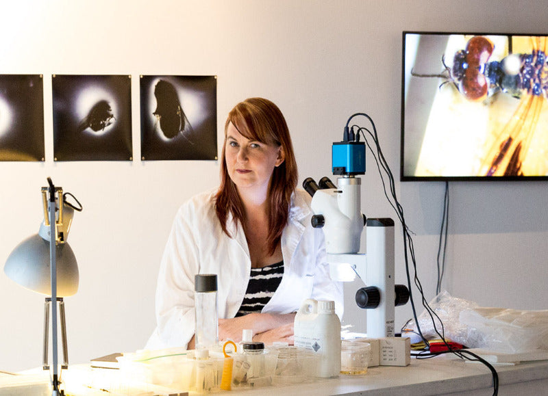 ENTOMOLOGICAL TECHNICIANS COURSE (Cert) - Coming in 2026