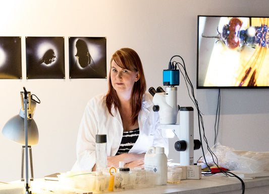 Entomological Technicians Course - COMING IN 2026 (CERTIFICATE COURSE)