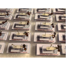 ON-LINE Labelling Specimens