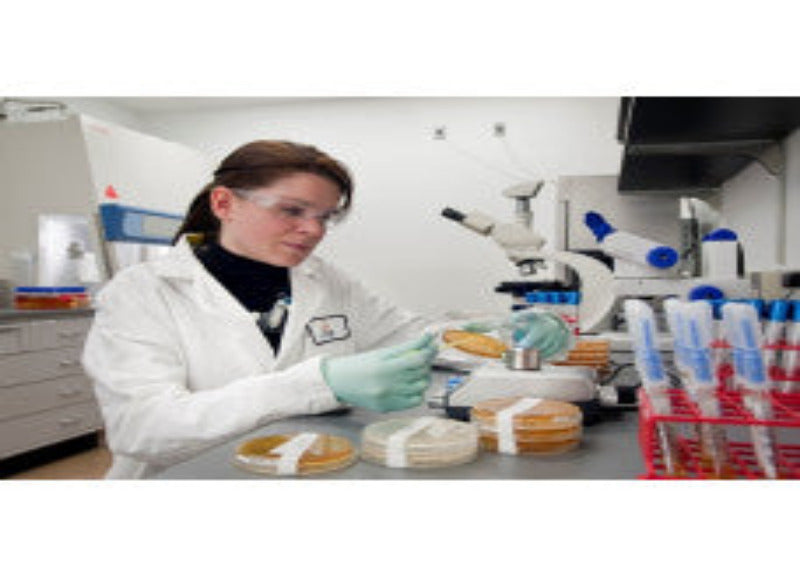 Laboratory Technicians Entomology Syllabus COMING IN 2026 (CERTIFICATE COURSE)