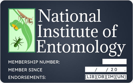 Adult Membership