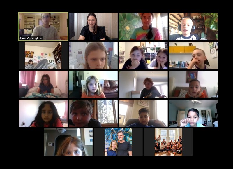 ON-LINE JUNIOR ENTOMOLOGY BUG CLUB TERM 4. WEEKLY DURING SCHOOL TERMS.
